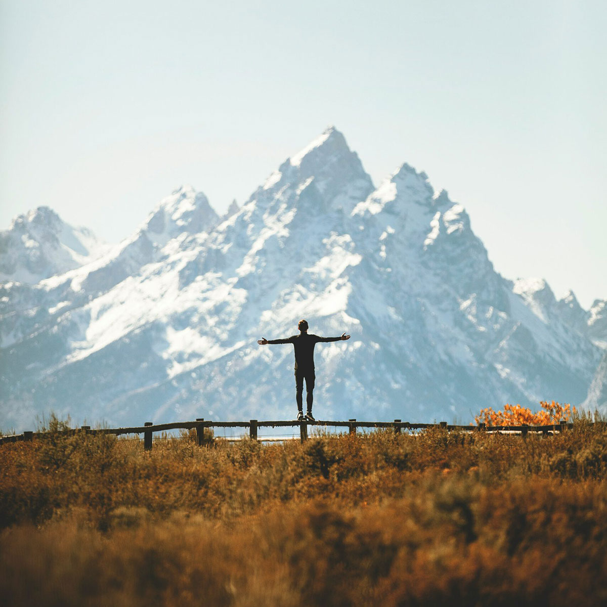 joshua-earle-oz1GKlRWab4-unsplash-scaled joshua-earle-oz1GKlRWab4-unsplash-scaled